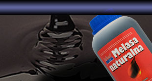 Molasses