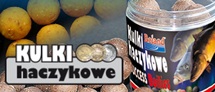 HOOKBAIT SUCCESS BOILIES
