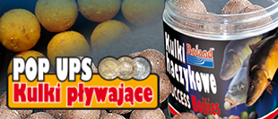 POP UP BOILIES